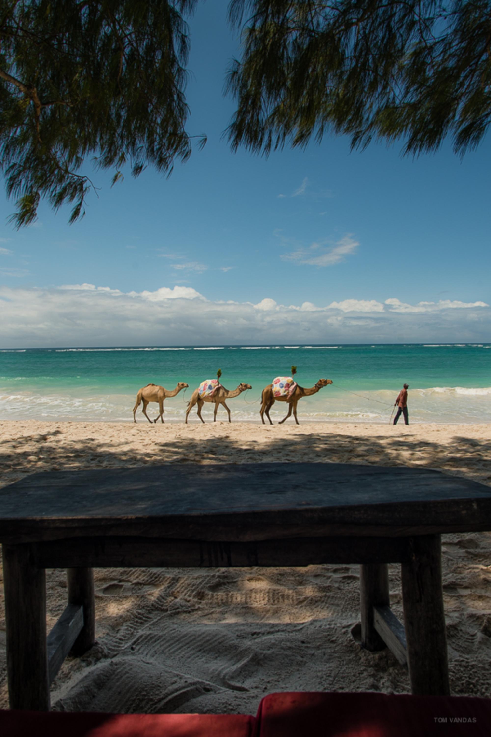 Bahari Dhow Beach Villas Playa de Diani Exterior foto